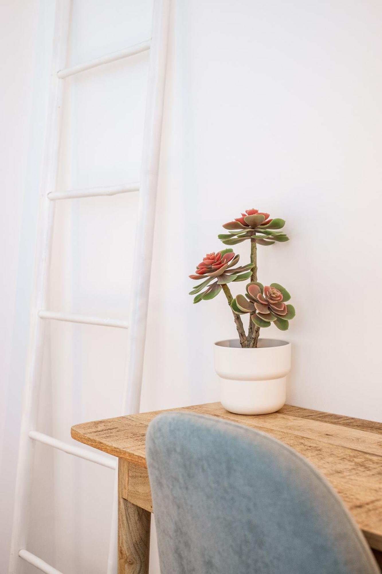 Casa Vica Appartement Sagres Kamer foto
